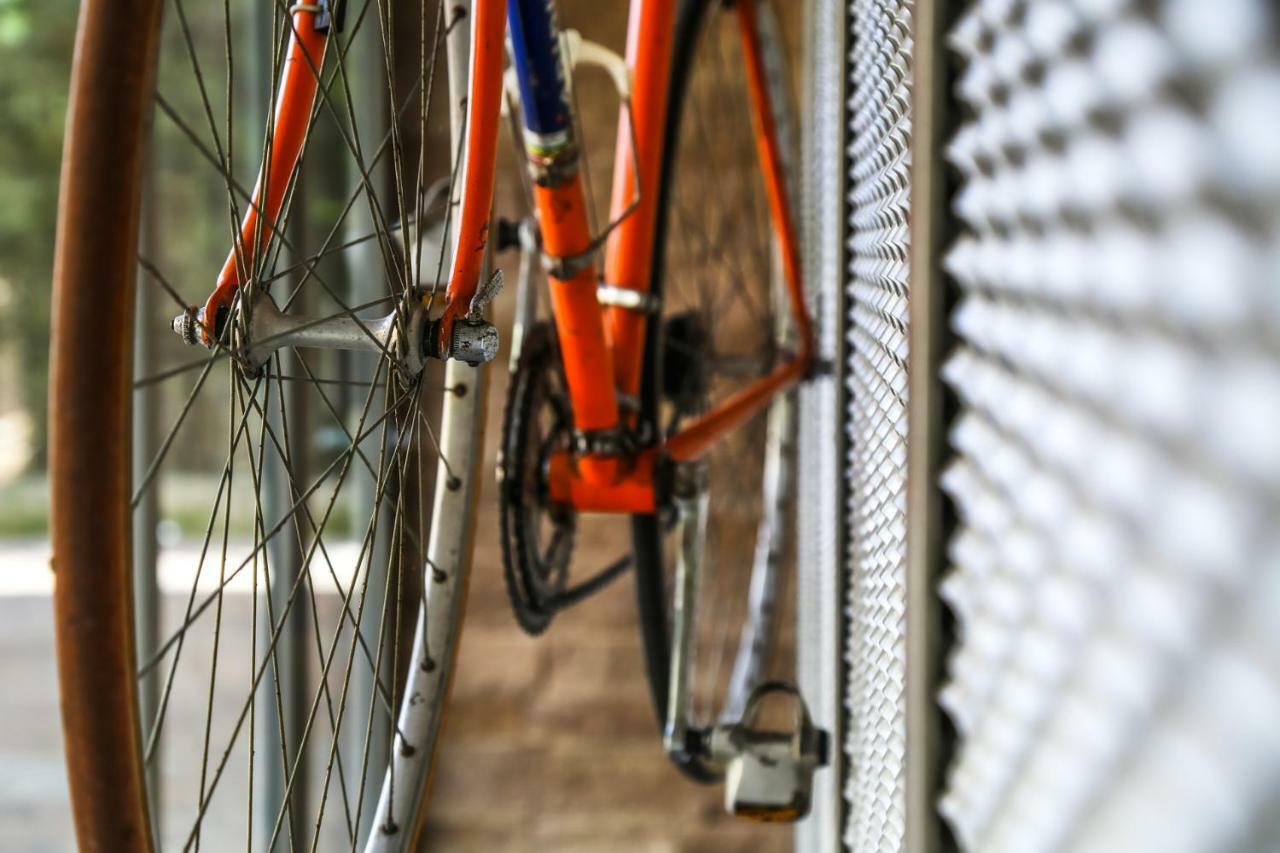 B&B Warmup Grosseto - Parcheggio Incluso Nella Corte Interna 외부 사진